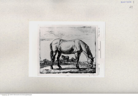 Vorderseite von  [http://creativecommons.org/publicdomain/mark/1.0/] ... - , bh285215. Foto.