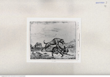 Vorderseite von  [http://creativecommons.org/publicdomain/mark/1.0/] ... - , bh285216. Foto.