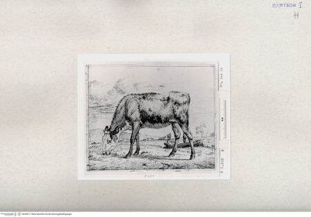 Vorderseite von  [http://creativecommons.org/publicdomain/mark/1.0/] ... - , bh285217. Foto.