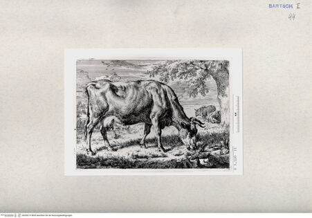 Vorderseite von  [http://creativecommons.org/publicdomain/mark/1.0/] ... - , bh285219. Foto.