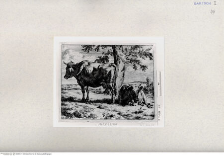 Vorderseite von  [http://creativecommons.org/publicdomain/mark/1.0/] ... - , bh285221. Foto.