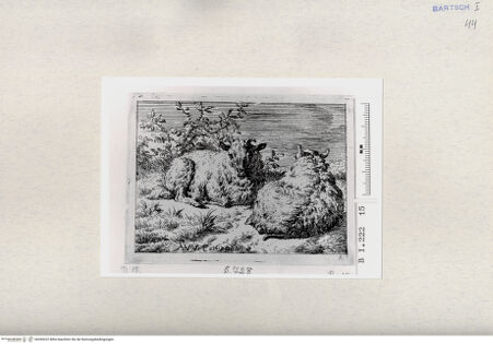 Vorderseite von  [http://creativecommons.org/publicdomain/mark/1.0/] ... - , bh285222. Foto.