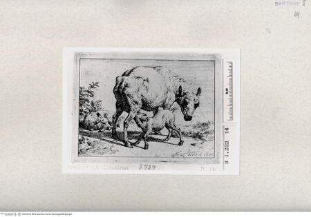 Vorderseite von  [http://creativecommons.org/publicdomain/mark/1.0/] ... - , bh285223. Foto.