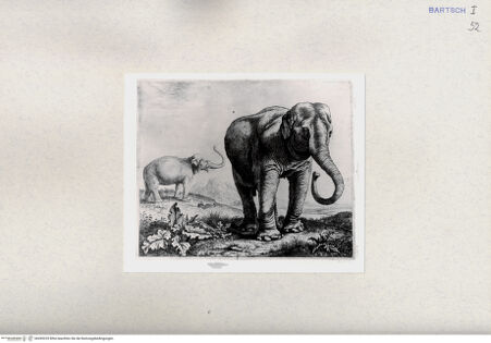 Vorderseite von  [http://creativecommons.org/publicdomain/mark/1.0/] ... - , bh285235. Foto.