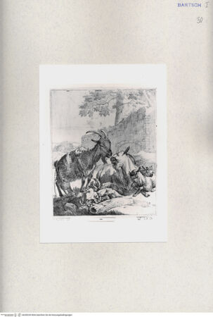 Vorderseite von  [http://creativecommons.org/publicdomain/mark/1.0/] ... - , bh285249. Foto.