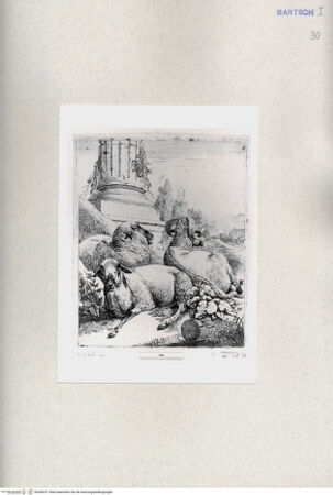 Vorderseite von  [http://creativecommons.org/publicdomain/mark/1.0/] ... - , bh285251. Foto.