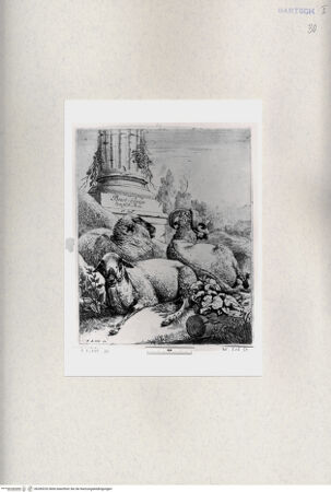 Vorderseite von  [http://creativecommons.org/publicdomain/mark/1.0/] ... - , bh285253. Foto.