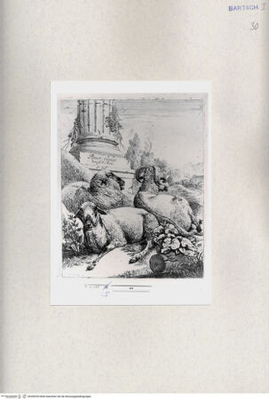 Vorderseite von  [http://creativecommons.org/publicdomain/mark/1.0/] ... - , bh285255. Foto.