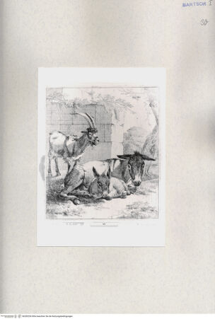 Vorderseite von  [http://creativecommons.org/publicdomain/mark/1.0/] ... - , bh285256. Foto.