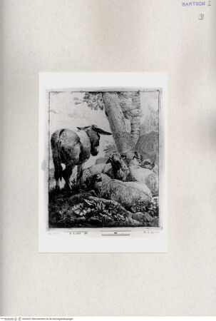 Vorderseite von  [http://creativecommons.org/publicdomain/mark/1.0/] ... - , bh285257. Foto.