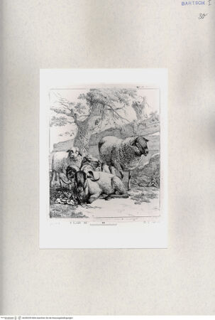 Vorderseite von  [http://creativecommons.org/publicdomain/mark/1.0/] ... - , bh285259. Foto.