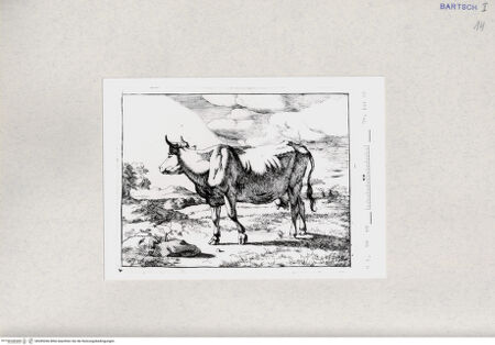 Vorderseite von  [http://creativecommons.org/publicdomain/mark/1.0/] ... - , bh285266. Foto.