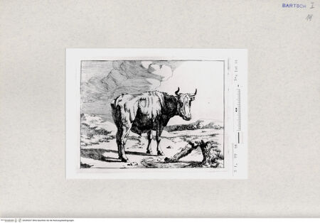 Vorderseite von  [http://creativecommons.org/publicdomain/mark/1.0/] ... - , bh285267. Foto.