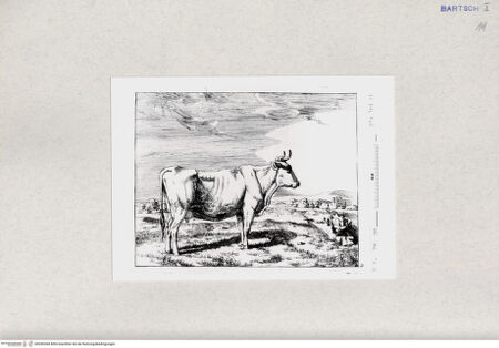 Vorderseite von  [http://creativecommons.org/publicdomain/mark/1.0/] ... - , bh285268. Foto.