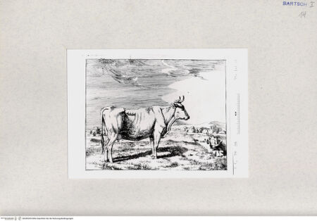 Vorderseite von  [http://creativecommons.org/publicdomain/mark/1.0/] ... - , bh285269. Foto.