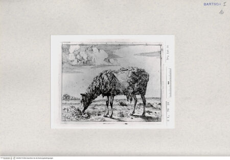 Vorderseite von  [http://creativecommons.org/publicdomain/mark/1.0/] ... - , bh285275. Foto.