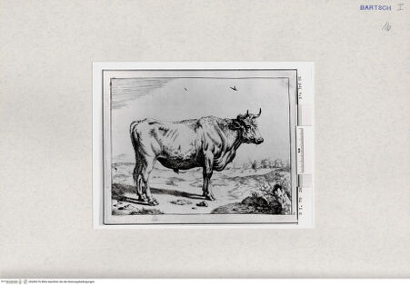 Vorderseite von  [http://creativecommons.org/publicdomain/mark/1.0/] ... - , bh285276. Foto.