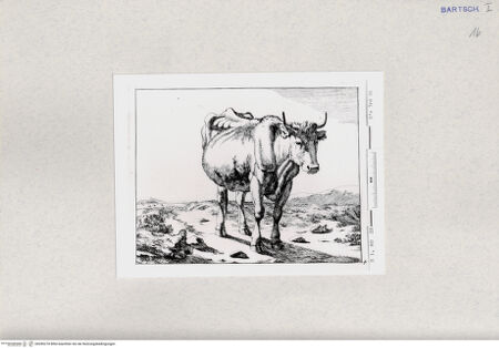 Vorderseite von  [http://creativecommons.org/publicdomain/mark/1.0/] ... - , bh285278. Foto.