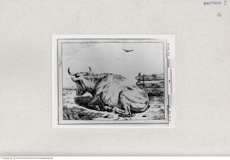 Vorderseite von  [http://creativecommons.org/publicdomain/mark/1.0/] ... - , bh285279. Foto.