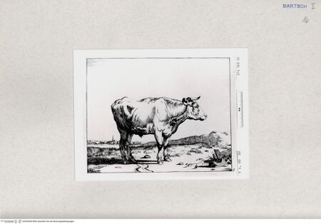 Vorderseite von  [http://creativecommons.org/publicdomain/mark/1.0/] ... - , bh285280. Foto.