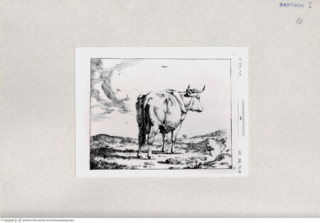 Vorderseite von  [http://creativecommons.org/publicdomain/mark/1.0/] ... - , bh285281. Foto.