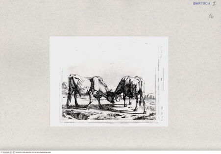 Vorderseite von  [http://creativecommons.org/publicdomain/mark/1.0/] ... - , bh285282. Foto.