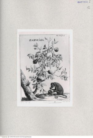 Vorderseite von  [http://creativecommons.org/publicdomain/mark/1.0/] ... - , bh285299. Foto.