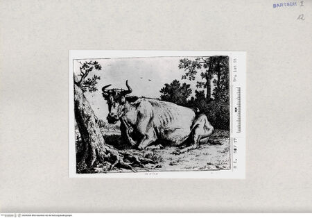 Vorderseite von  [http://creativecommons.org/publicdomain/mark/1.0/] ... - , bh285300. Foto.