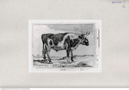 Vorderseite von  [http://creativecommons.org/publicdomain/mark/1.0/] ... - , bh285301. Foto.