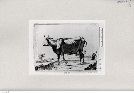 Vorderseite von  [http://creativecommons.org/publicdomain/mark/1.0/] ... - , bh285302. Foto.