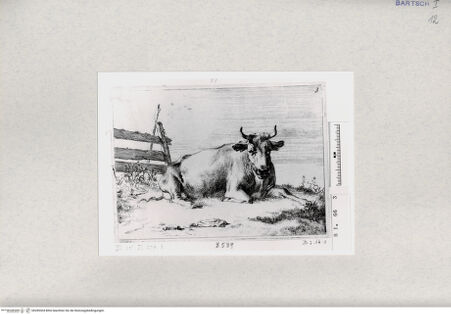 Vorderseite von  [http://creativecommons.org/publicdomain/mark/1.0/] ... - , bh285304. Foto.