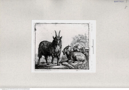 Vorderseite von  [http://creativecommons.org/publicdomain/mark/1.0/] ... - , bh285305. Foto.