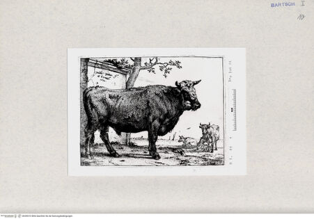 Vorderseite von  [http://creativecommons.org/publicdomain/mark/1.0/] ... - , bh285310. Foto.