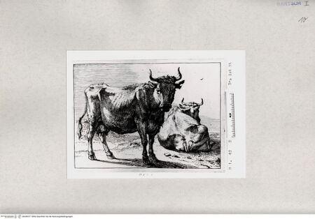 Vorderseite von  [http://creativecommons.org/publicdomain/mark/1.0/] ... - , bh285311. Foto.