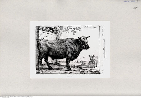 Vorderseite von  [http://creativecommons.org/publicdomain/mark/1.0/] ... - , bh285312. Foto.