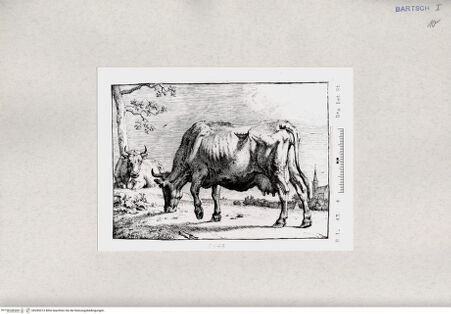 Vorderseite von  [http://creativecommons.org/publicdomain/mark/1.0/] ... - , bh285313. Foto.