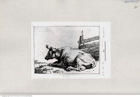 Vorderseite von  [http://creativecommons.org/publicdomain/mark/1.0/] ... - , bh285314. Foto.