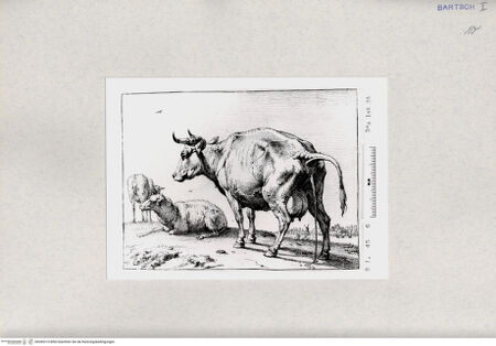 Vorderseite von  [http://creativecommons.org/publicdomain/mark/1.0/] ... - , bh285315. Foto.