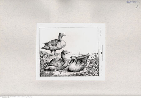 Vorderseite von  [http://creativecommons.org/publicdomain/mark/1.0/] ... - , bh285318. Foto.