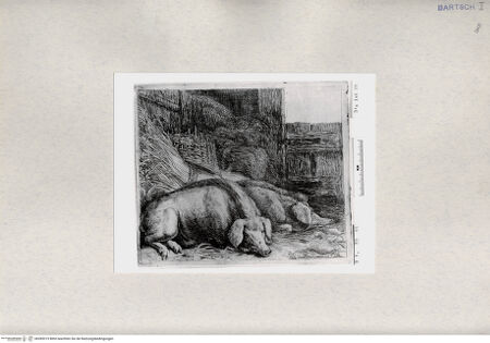 Vorderseite von  [http://creativecommons.org/publicdomain/mark/1.0/] ... - , bh285319. Foto.