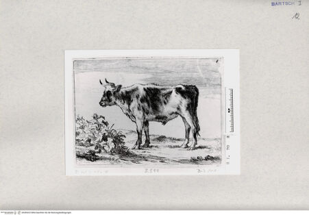 Vorderseite von  [http://creativecommons.org/publicdomain/mark/1.0/] ... - , bh285322. Foto.