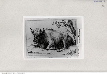 Vorderseite von  [http://creativecommons.org/publicdomain/mark/1.0/] ... - , bh285323. Foto.