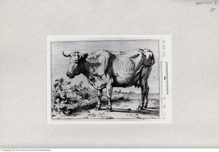 Vorderseite von  [http://creativecommons.org/publicdomain/mark/1.0/] ... - , bh285324. Foto.