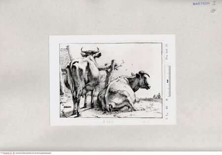 Vorderseite von  [http://creativecommons.org/publicdomain/mark/1.0/] ... - , bh285325. Foto.