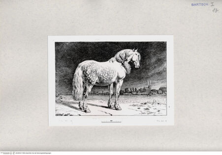 Vorderseite von  [http://creativecommons.org/publicdomain/mark/1.0/] ... - , bh285327. Foto.