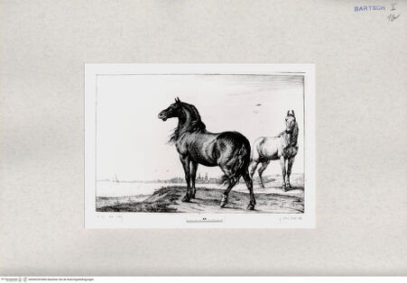 Vorderseite von  [http://creativecommons.org/publicdomain/mark/1.0/] ... - , bh285328. Foto.