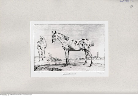 Vorderseite von  [http://creativecommons.org/publicdomain/mark/1.0/] ... - , bh285330. Foto.