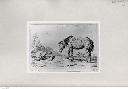 Vorderseite von  [http://creativecommons.org/publicdomain/mark/1.0/] ... - , bh285332. Foto.