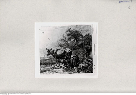 Vorderseite von  [http://creativecommons.org/publicdomain/mark/1.0/] ... - , bh285333. Foto.