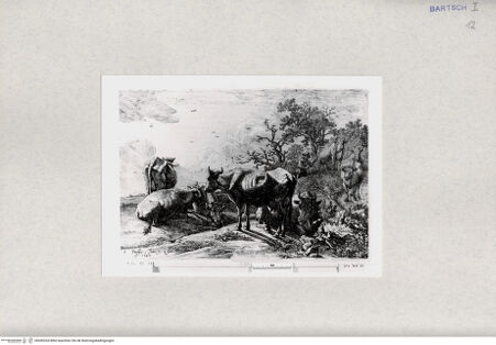 Vorderseite von  [http://creativecommons.org/publicdomain/mark/1.0/] ... - , bh285334. Foto.